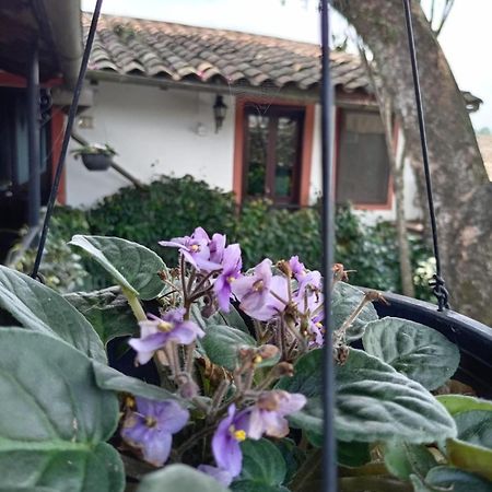 Hotel Boutique Casabella Coatepec  Extérieur photo