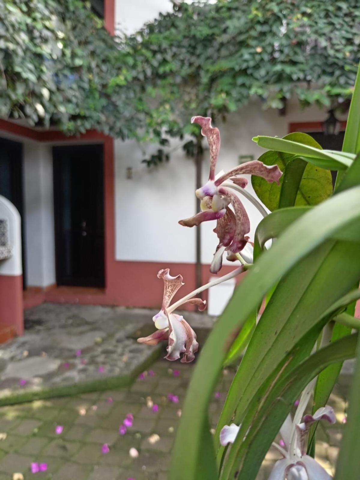 Hotel Boutique Casabella Coatepec  Extérieur photo
