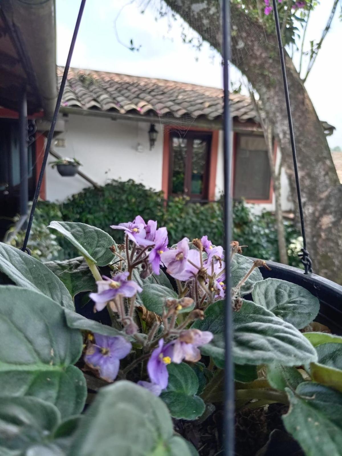 Hotel Boutique Casabella Coatepec  Extérieur photo