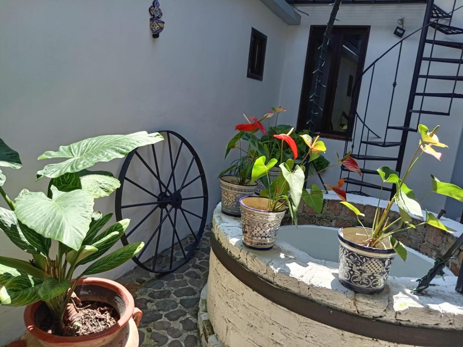 Hotel Boutique Casabella Coatepec  Extérieur photo